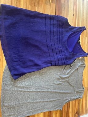 Women’s Sleeveless Top Bundle Size L Express Shimmer Tank & Tahari Knit Tank